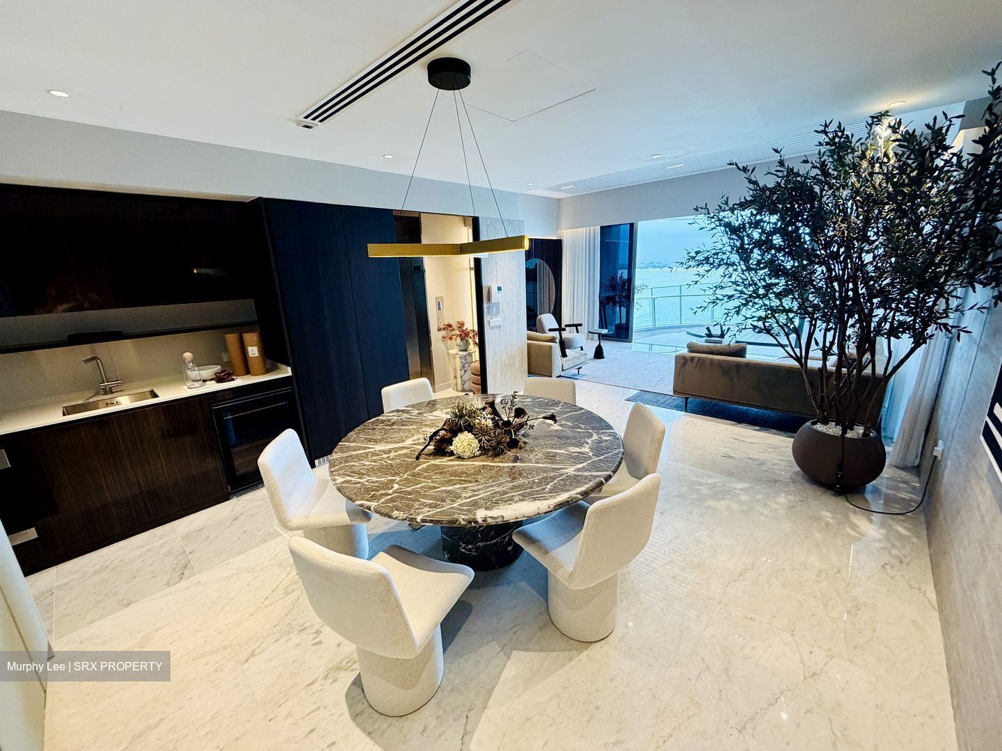 Seascape (D4), Condominium #570903391